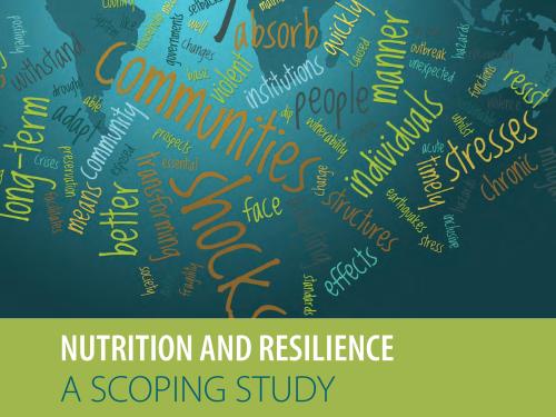 Front cover of report titled, "Nutrition and Resilience: A Scoping Study."