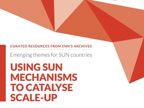 First page of report titled, "Emerging themes for SUN countries: Using SUN Mechanisms to Catalyse Scale-up."