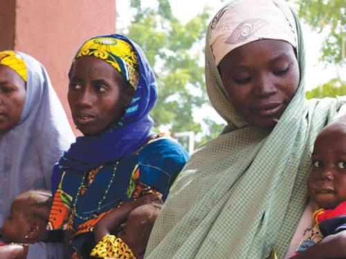 Front cover of article titled, "The Wasting & Stunting Technical Interest Group: Generating Evidence to Challenge the Divide in Nutrition: The Wasting and Stunting Technical Group. Image shows a group of women holding young children. 