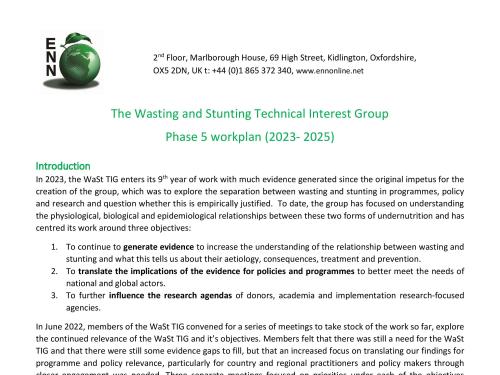 First page of document 'The Wasting and Stunting Technical Interest Group Phase 5 workplan (2023- 2025)'