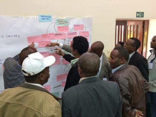 A group of men using a problem and solution tree exercise at a capacity needs assessment workshop in Ethiopia