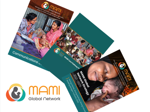 The MAMI logo and three of their latest publications