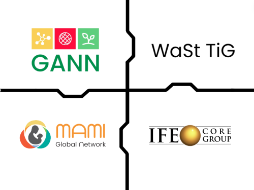 ENN's four current networks: GANN, WaSt TiG, MAMI GN and IFE Core Group