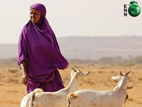The front cover of Field Exchange 'A changing world: How complex climate dynamics are affecting Somalia and beyond' with an image of a woman and her goats in Somalia