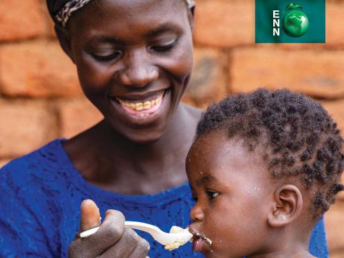 'Special compilation: Complementary feeding in emergencies' document with woman feeding her infant with a spoon