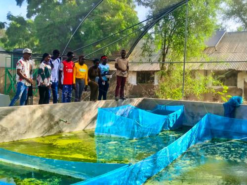 Filling up Vijana Twaweza Club’s new fish tank with water