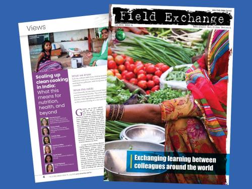 The cover of Field Exchange 73 with a woman selling fresh fruit and vegetables on a local farmers stall