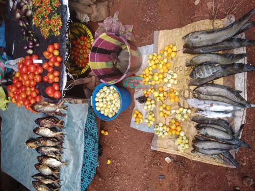 Fish, tomatoes and aubergines displayed on the ground and on a small makeshift table at an outdoor market. 