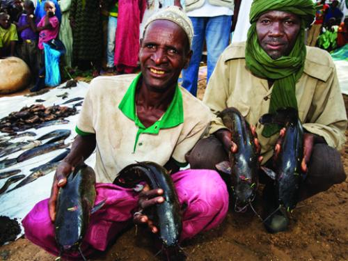 A fish pond deepened allows local communities to fish for commercial purposes in Wara Wara, Nigeria