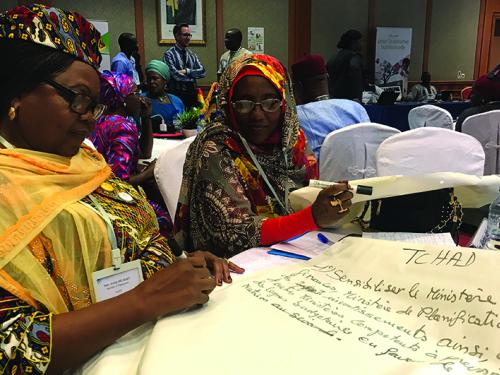 Participants of the IPU/UNICEF Seminar on investing in nutrition with members of parliament at the Parliamentarian Seminar 2017, Burkina Faso