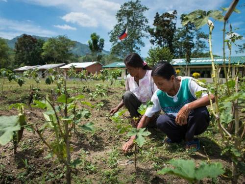 Les femmes cultivent la terre à côté d'une école, où leur production sera utilisée pour la preparation des repas scolaires, Mindanao, Philippines