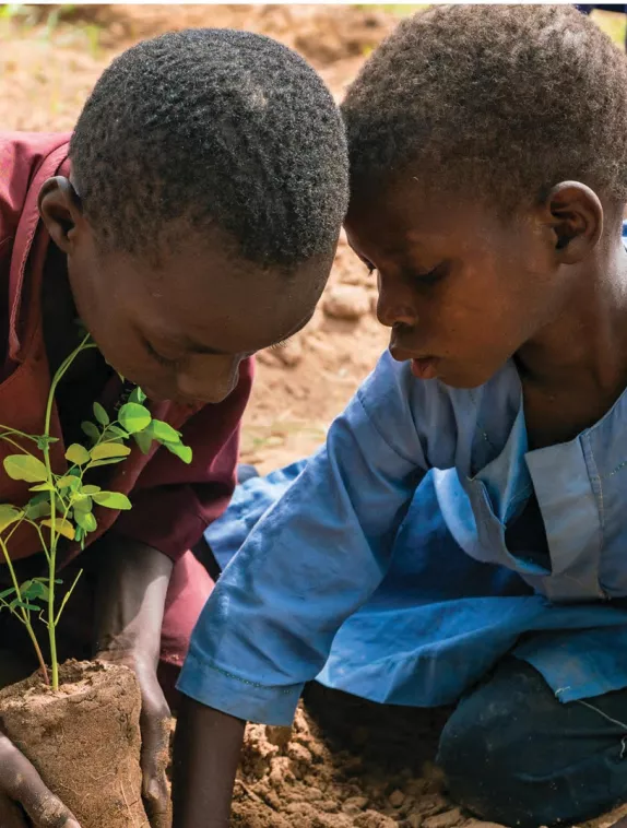 two boys planting a tree