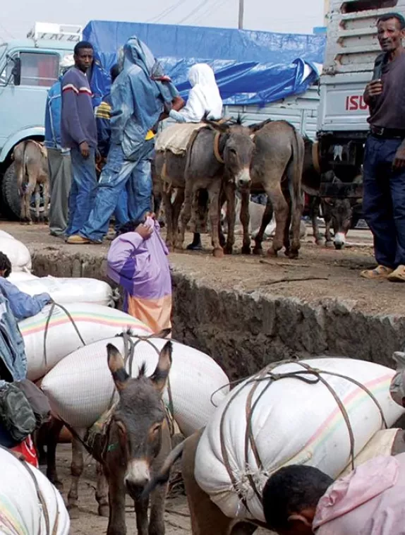 Front cover image shows men with their donkeys carrying loads of goods on their backs