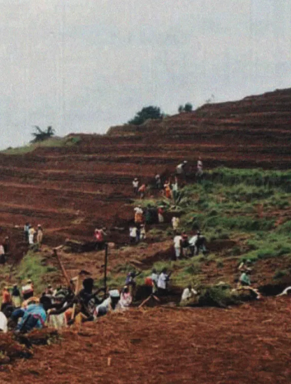 Front cover image shows workers in the crop field