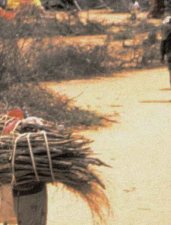 Front cover image shows a camp with people walking around, some carrying pile of sticks on their back