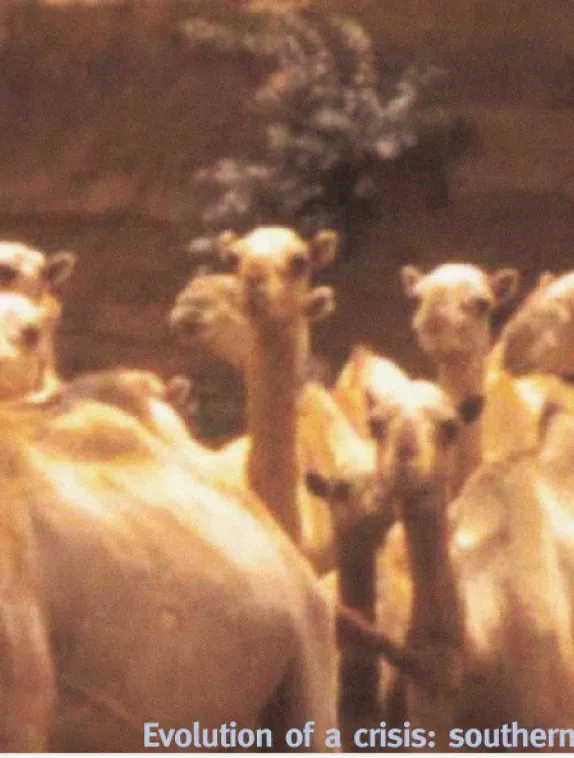 Front cover image shows a group of camels