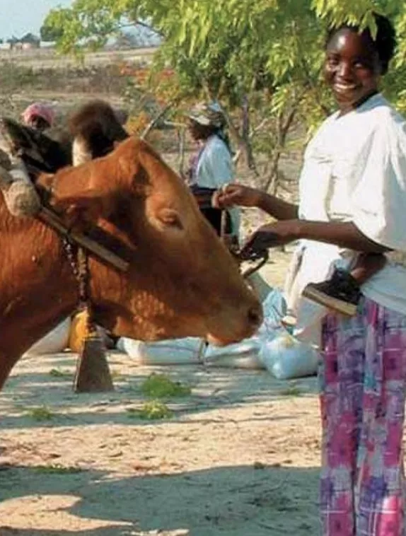 Front cover image shows a picture of a woman standing with a cow and a baby strapped on her back