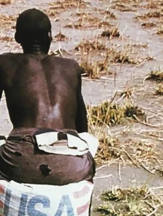 Front cover image shows a young man sitting on top of a bag in a field