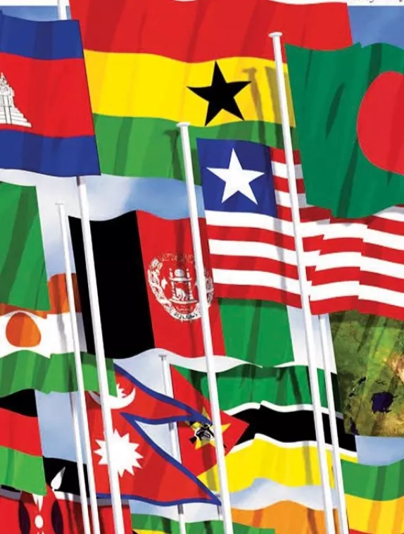 Cover image showing a range of flags