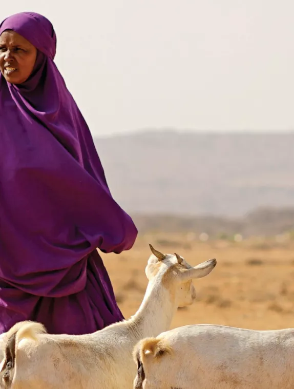 The front cover of Field Exchange 'A changing world: How complex climate dynamics are affecting Somalia and beyond' with an image of a woman and her goats in Somalia
