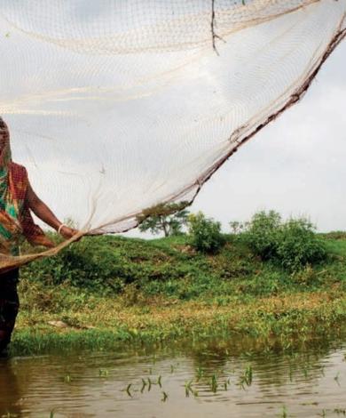 A woman in a river fishing using a fishing net