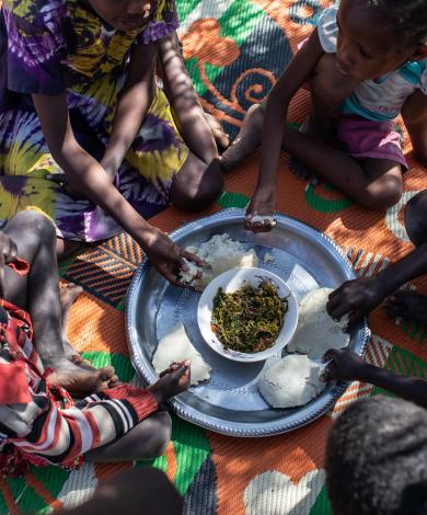 Women and children eating shared meal in refugee settlement, Kenya Credit FAO/Vincent Tremeau.