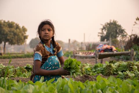 A young girl in a field, holding a bunch of fresh lettuce.