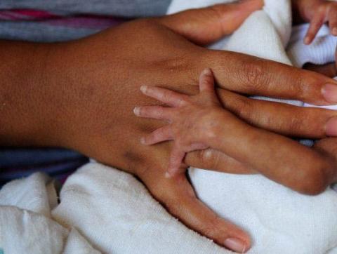 An adult's hand with a premature babys'