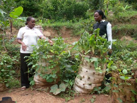two women stand by crops growing in planters