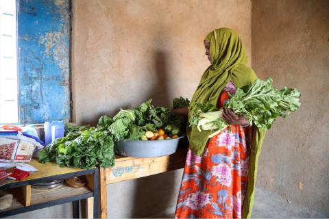 A woman home growing vegetables in Somalia