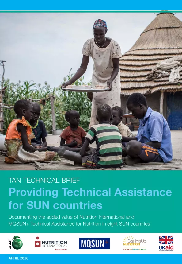 First page of the document 'Providing Technical Assistance for SUN Countries'