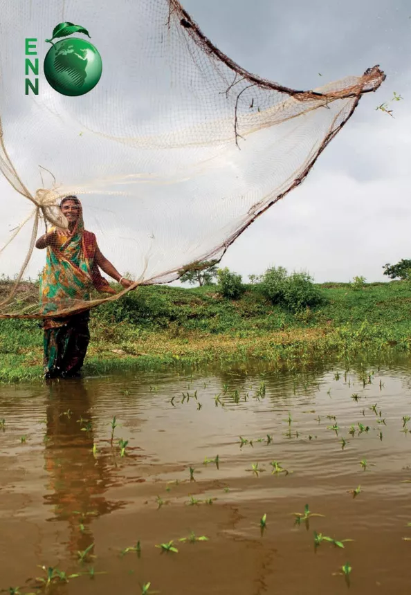 A woman in a river fishing using a fishing net. The front cover of the document 'About ENN' with the ENN logo in the top left corner