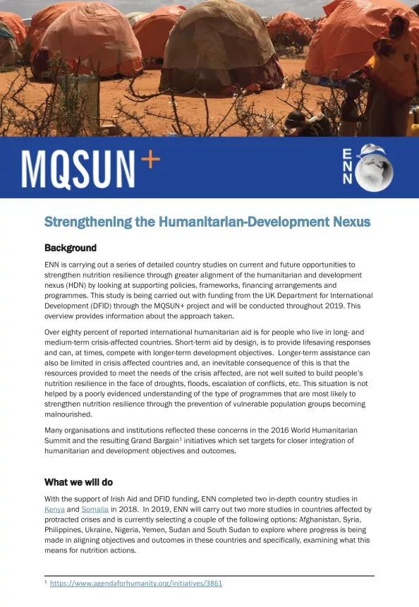 Front cover of report titled, "Strengthening the Humanitarian-Development Nexus."