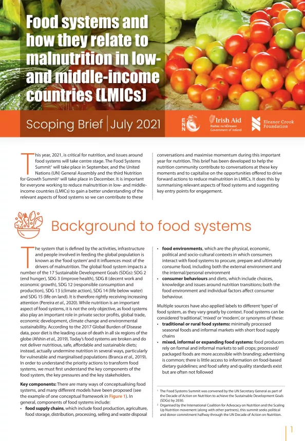Front cover of brief titled, "Food systems and how they relate to malnutrition in low-and middle-income countries (LMICs)" Scoping Brief July 2021.