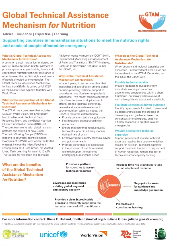 Front cover of report titled, "Global Technical Assistance Mechanism for Nutrition." 