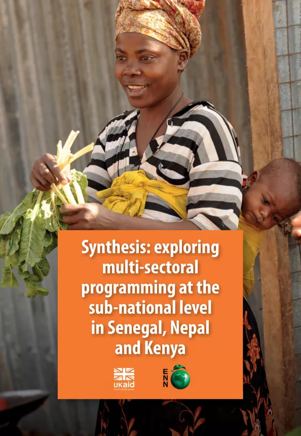 Front cover of case study titled, "Exploring multi-sector programming at the sub-national level in Senegal, Nepal and Kenya." Image shows a mother cooking with a baby on her back.