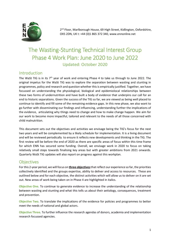 First page of document titled, "The Wasting-Stunting Technical Interest Group Phase 4 Work Plan: June 2020 to June 2022." 