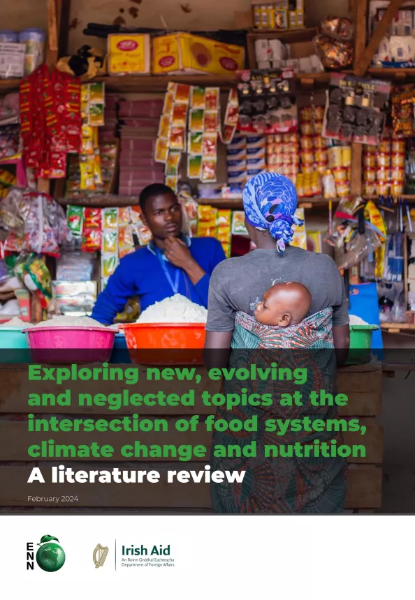 Front cover of the document 'Exploring new, evolving and neglected topics at the intersection of food systems, climate change and nutrition: a literature review' with an image of a woman carrying a baby on her back in a local store.