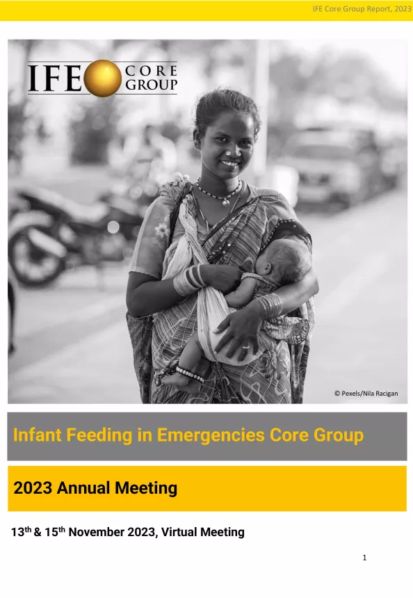 Front cover of the IFE Core Group 2023 Annual Meeting Report