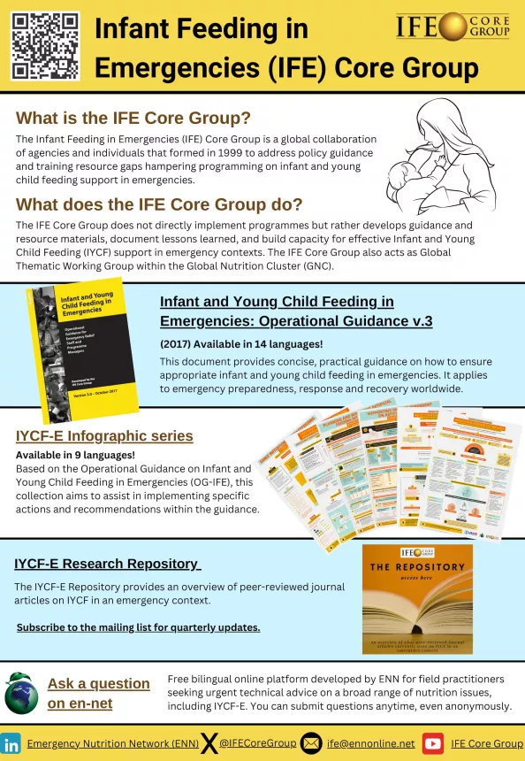 The front page of the IFE Core Group leaflet explaining who they are, what they do and their key resources.