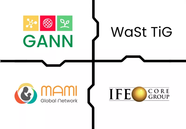 ENN's four current networks: GANN, WaSt TiG, MAMI GN and IFE Core Group